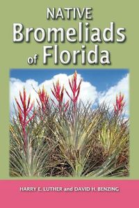 Cover image for Native Bromeliads of Florida