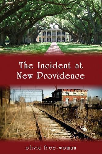 Cover image for The Incident at New Procidence