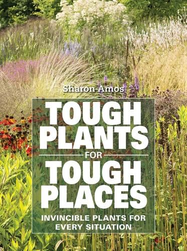 Cover image for Tough Plants for Tough Places