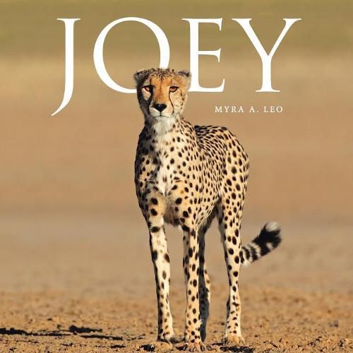 Cover image for Joey