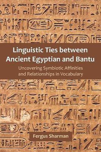 Cover image for Linguistic Ties between Ancient Egyptian and Bantu: Uncovering Symbiotic Affinities and Relationships in Vocabulary