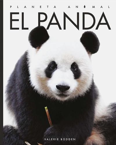 Cover image for El Panda