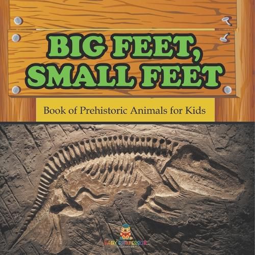 Cover image for Big Feet, Small Feet