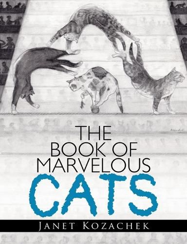 Cover image for The Book of Marvelous Cats