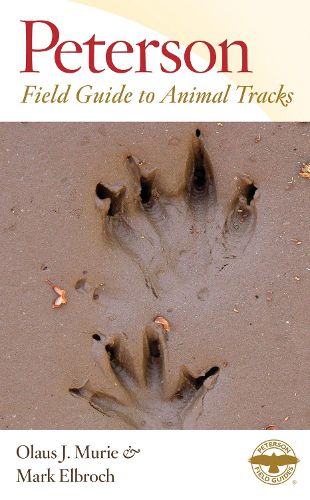 Cover image for A Field Guide to Animal Tracks