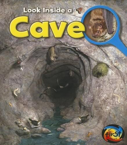 Cover image for Cave: Look Inside