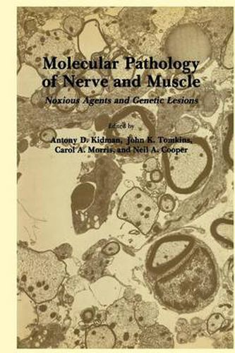 Molecular Pathology of Nerve and Muscle: Noxious Agents and Genetic Lesions