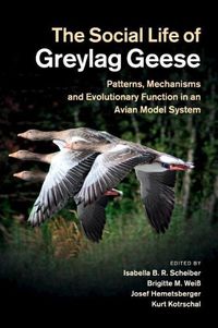 Cover image for The Social Life of Greylag Geese: Patterns, Mechanisms and Evolutionary Function in an Avian Model System