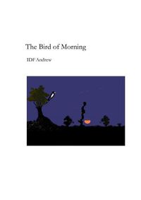 Cover image for The Bird of Morning