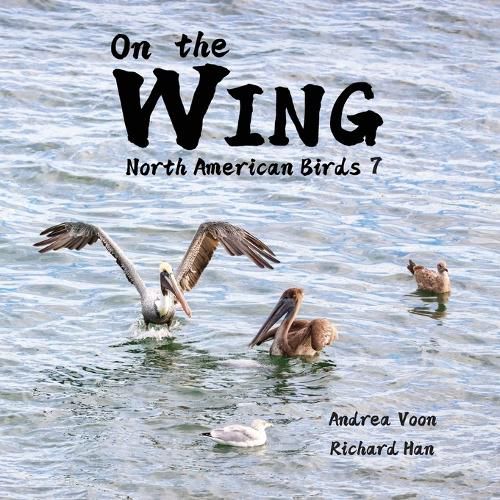 Cover image for On the Wing - North American Birds 7