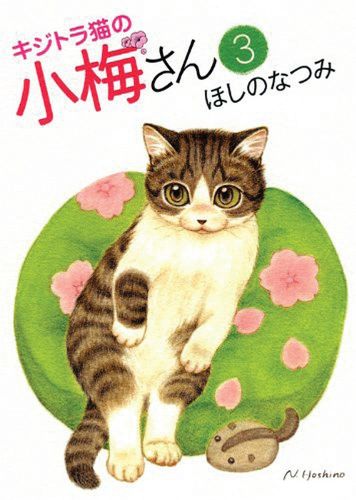 Cover image for Plum Crazy! Tales of a Tiger-Striped Cat Vol. 3