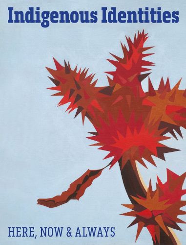Cover image for Indigenous Identities
