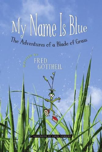 Cover image for My Name Is Blue