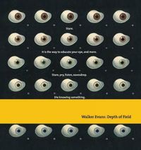 Cover image for Walker Evans: Depth Of Field