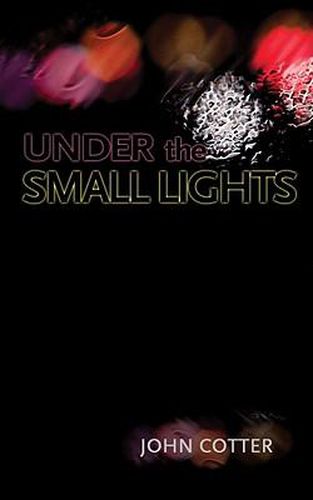 Cover image for Under the Small Lights