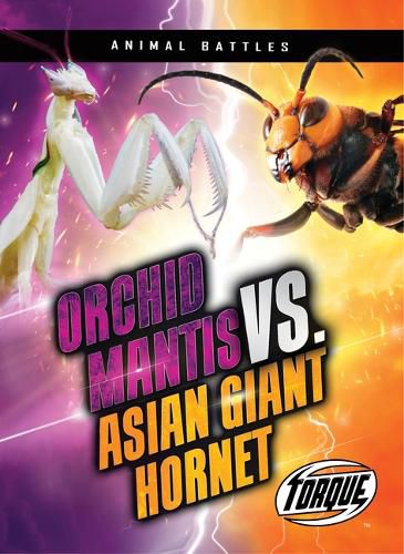 Cover image for Orchid Mantis vs. Asian Giant Hornet