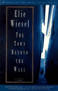 Cover image for The Town Beyond the Wall: A Novel