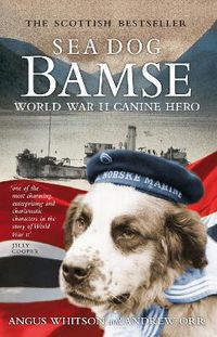 Cover image for Sea Dog Bamse: World War II Canine Hero