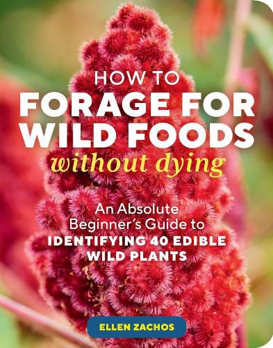 Cover image for How to Forage for Wild Foods without Dying