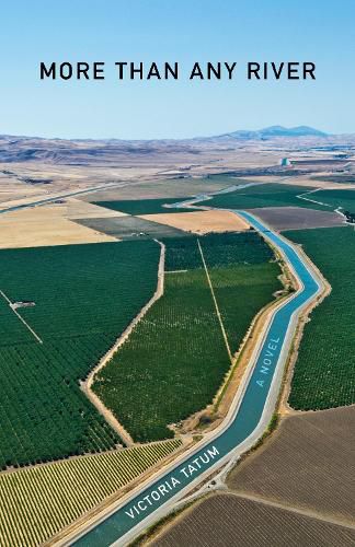 Cover image for More Than Any River