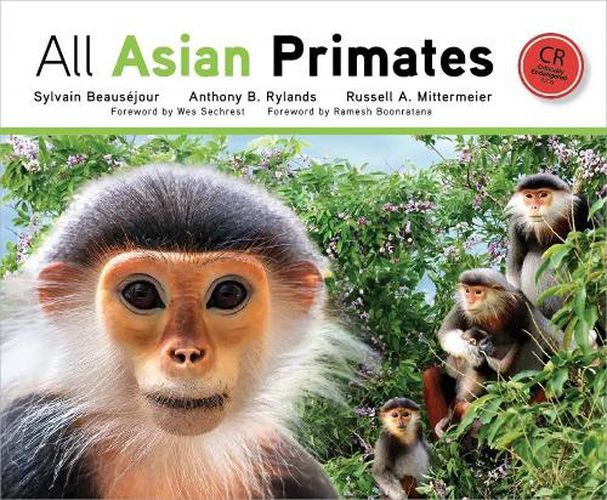 Cover image for All Asian Primates