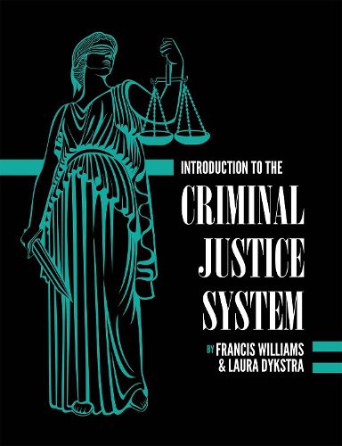 Cover image for Introduction to the Criminal Justice System: A Practical Perspective