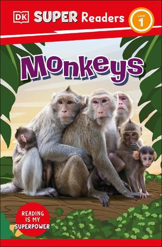Cover image for DK Super Readers Level 1: Monkeys