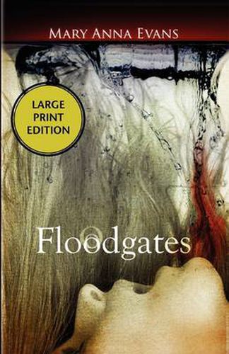 Cover image for Floodgates