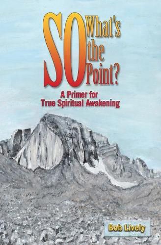 Cover image for So What's The Point?: A Primer for True Spiritual Awakening