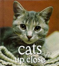 Cover image for Cats Up Close