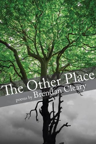 Cover image for The Other Place