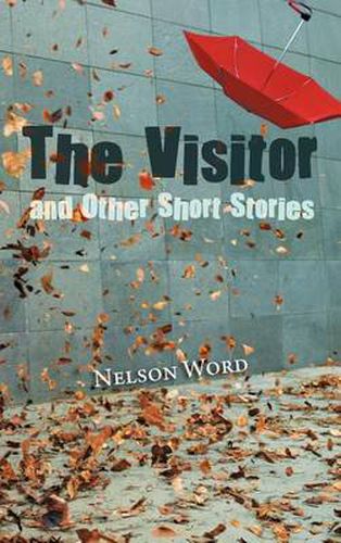 Cover image for The Visitor and Other Short Stories