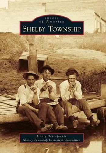 Cover image for Shelby Township