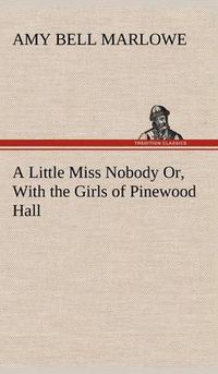 Cover image for A Little Miss Nobody Or, With the Girls of Pinewood Hall