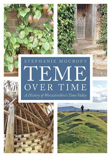 Cover image for Teme Over Time