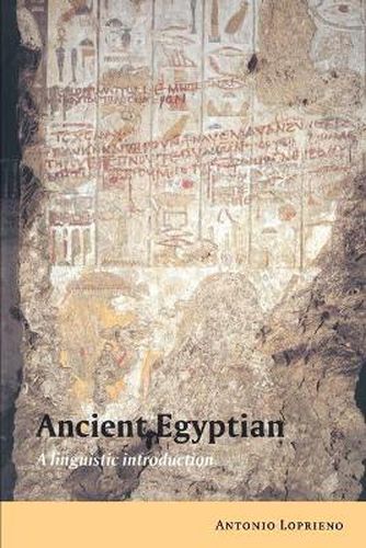 Cover image for Ancient Egyptian: A Linguistic Introduction