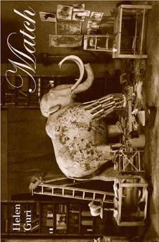 Cover image for Match