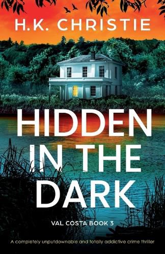 Cover image for Hidden in the Dark