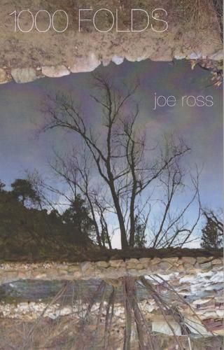 Cover image for 1000 Folds