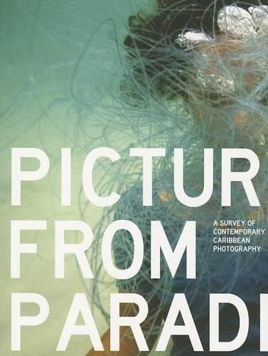 Cover image for Pictures from Paradise: A Survey of Contemporary Caribbean Photography