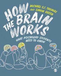 Cover image for How the Brain Works