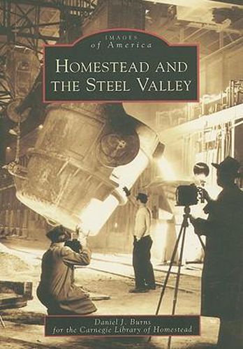 Cover image for Homestead and the Steel Valley