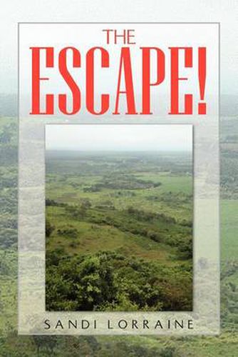 Cover image for The Escape!