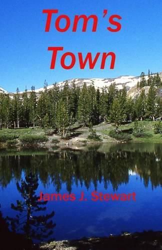 Cover image for Tom's Town