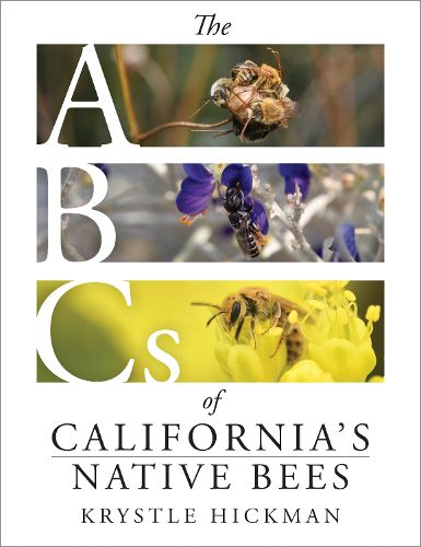 Cover image for The ABCs of California's Native Bees