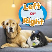 Cover image for Left or Right