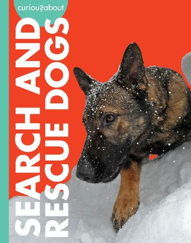 Cover image for Curious about Search and Rescue Dogs