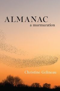 Cover image for Almanac