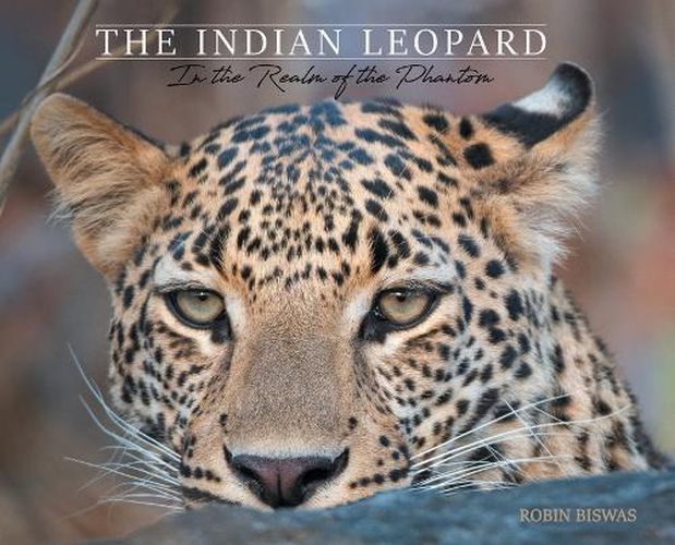 Cover image for The Indian Leopard: In the Realm of the Phantom