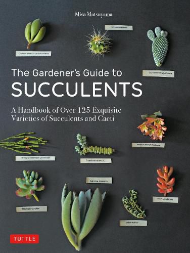 Cover image for The Gardener's Guide to Succulents